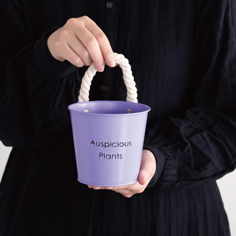 鉢カバー HPP-BBKS ハッピープランツブリキバケツ-S/パープル(6個) ヘッズ