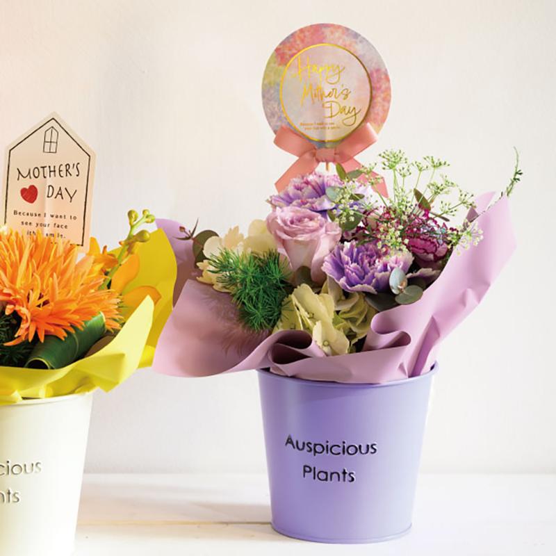 鉢カバー HPP-BBKS ハッピープランツブリキバケツ-S/パープル(6個) ヘッズ