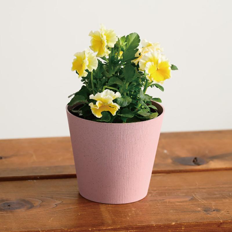 花器 WDY-POPS ウッディフラワーアレンジポット-S/ピンクパープル(10個) ヘッズ