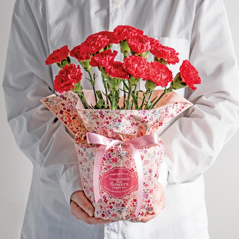 RAF-RIP5 ラフィネリボン付ポットカバー-5(10枚) ヘッズ