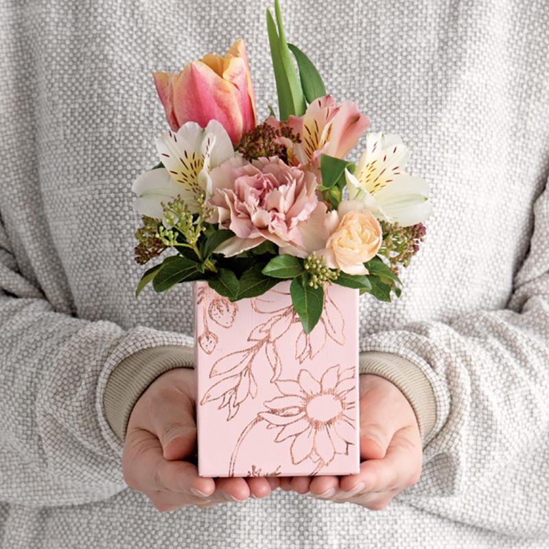 ラッピング用品 BEP-HGTS ベルプランツ貼箱ギフトトレイ-S(6個) ヘッズ