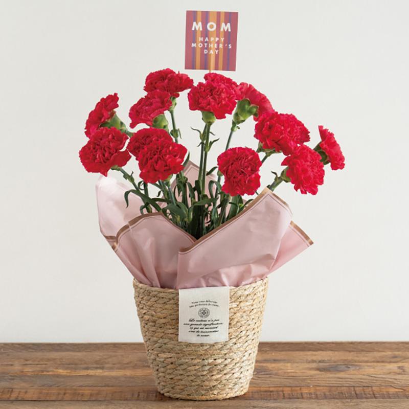 鉢カバー CN-RLB カンパーニュラッシュラウンドバスケット-L(6個) ヘッズ