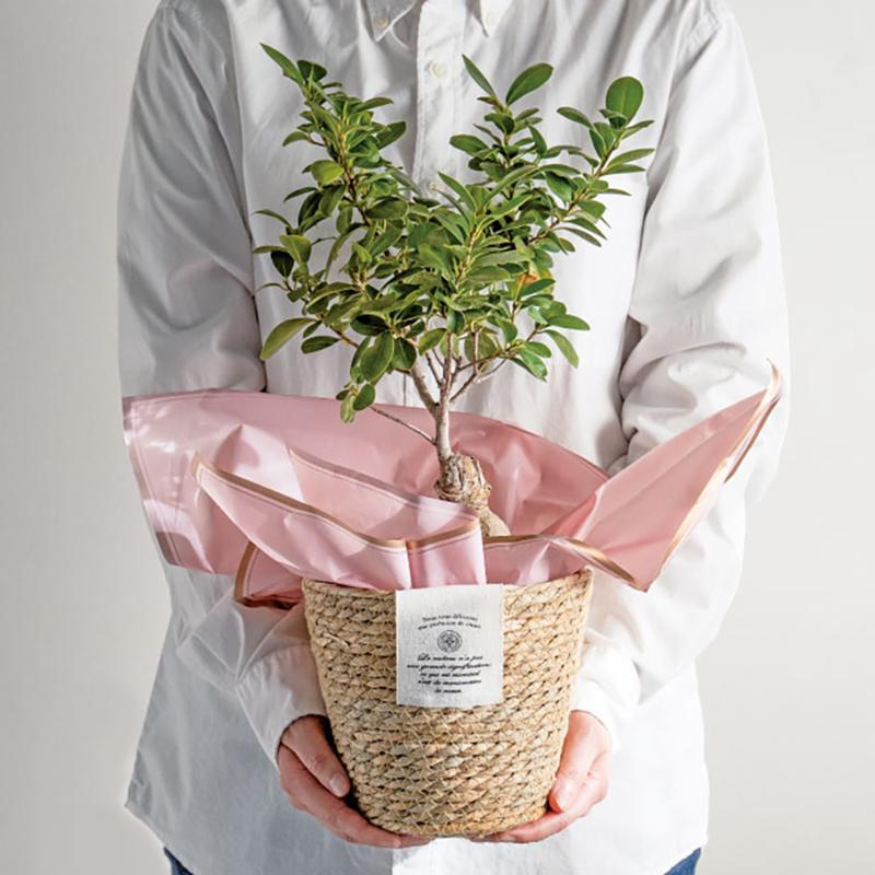 鉢カバー CN-RLB カンパーニュラッシュラウンドバスケット-L(6個) ヘッズ