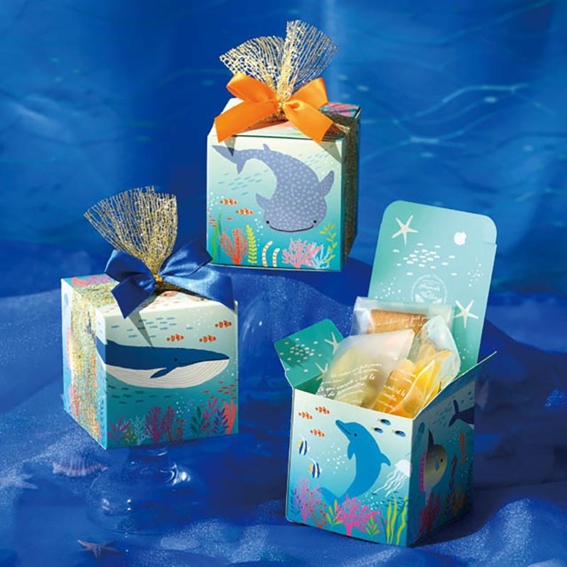 ギフト箱 SAN-GS1 シーアニマルギフトボックス-S(20枚) ヘッズ