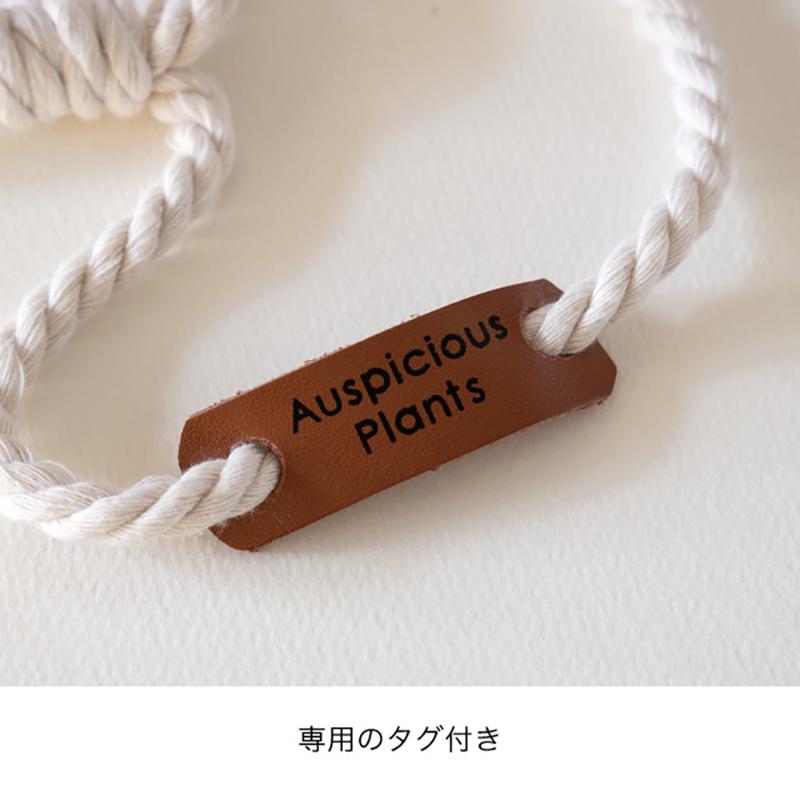 HNG-POM3 ハンギングポットカバーM-3/ペンシルストライプ(4個) ヘッズ