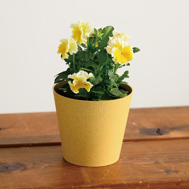 花器 WDY-POOS ウッディフラワーアレンジポット-S/オレンジ(10個) ヘッズ