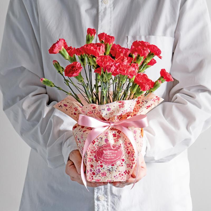 RAF-RIP4 ラフィネリボン付ポットカバー-4(10枚) ヘッズ