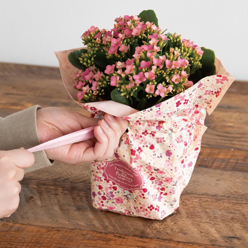 RAF-RIP4 ラフィネリボン付ポットカバー-4(10枚) ヘッズ