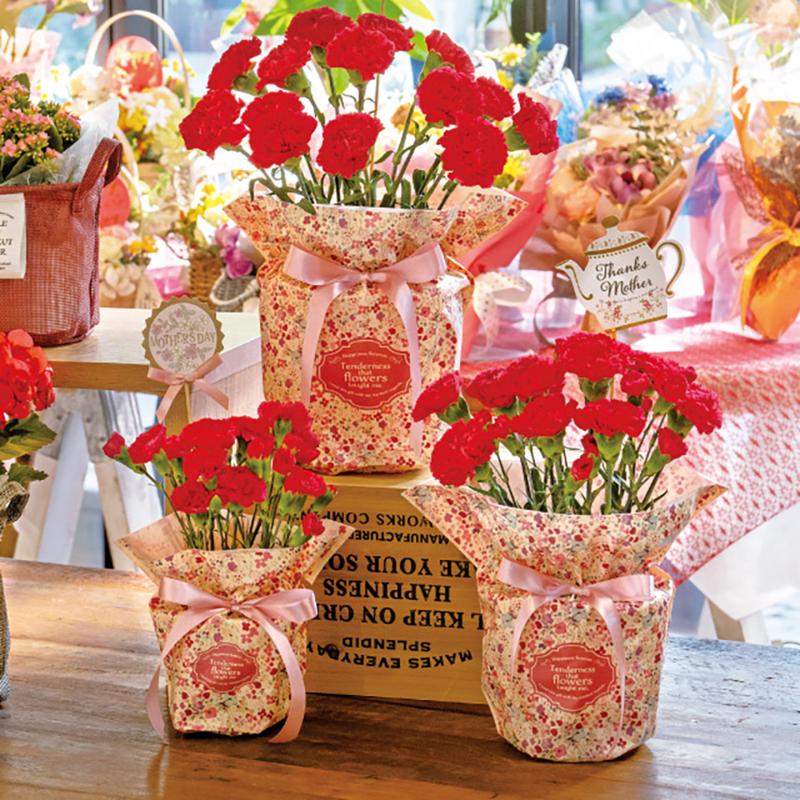 RAF-RIP4 ラフィネリボン付ポットカバー-4(10枚) ヘッズ