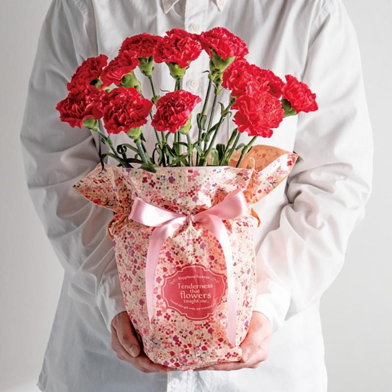 RAF-RIP6 ラフィネリボン付ポットカバー-6(10枚) ヘッズ