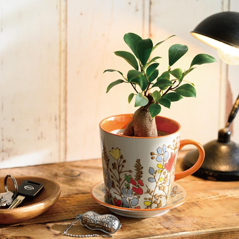 花器 HNP-FPO23 ハンドメイドプリントフラワーポット-23(2個) ヘッズ