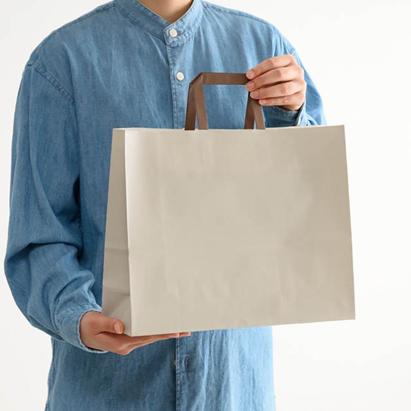 紙手提袋 ZOG-2P 無地象牙カラーペーパーバッグ-2(50枚) ヘッズ