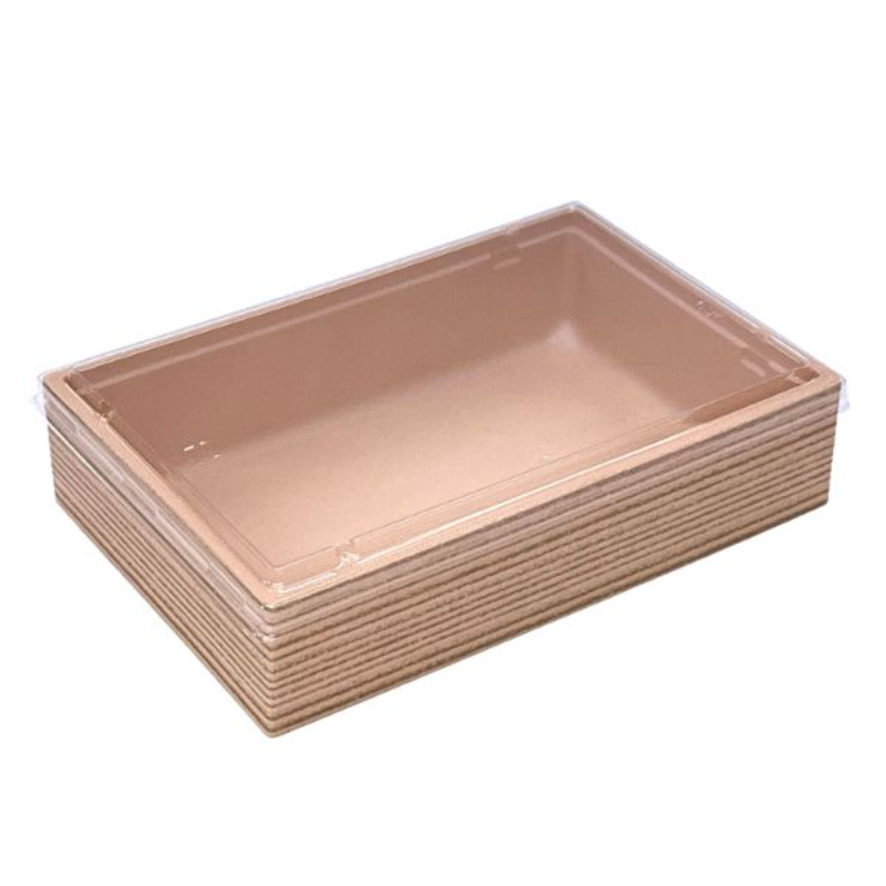 弁当容器 TS-1合A(40) 杉IV セット アクタ