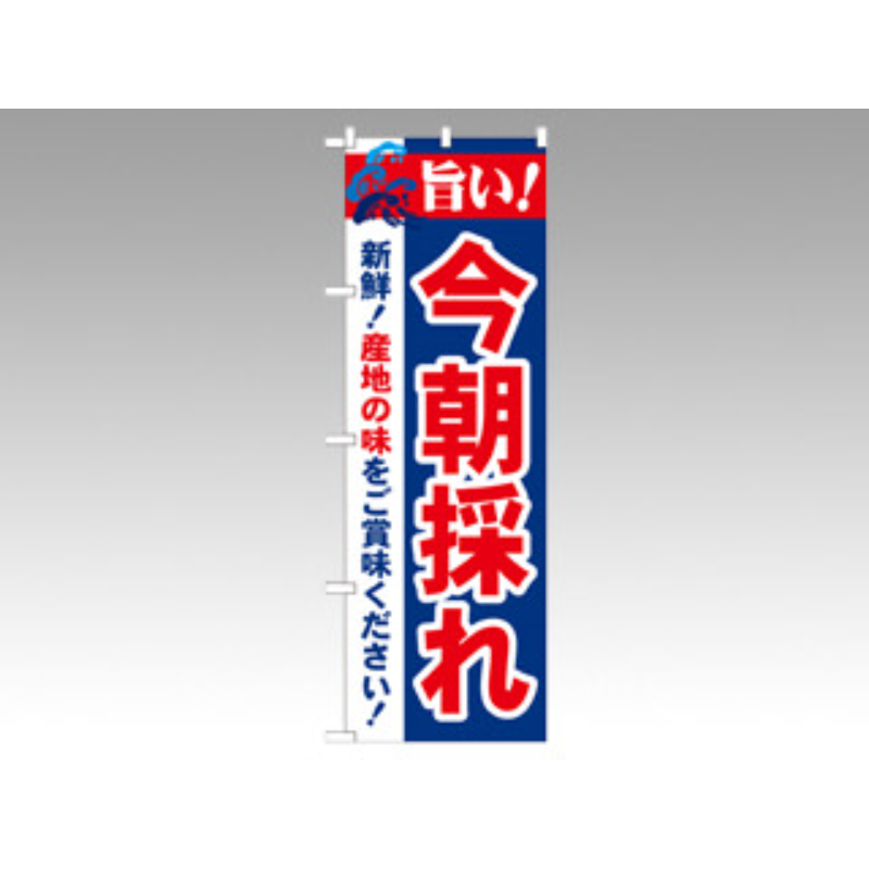 のぼり 21689 旨い！今朝採れ P・O・Pプロダクツ