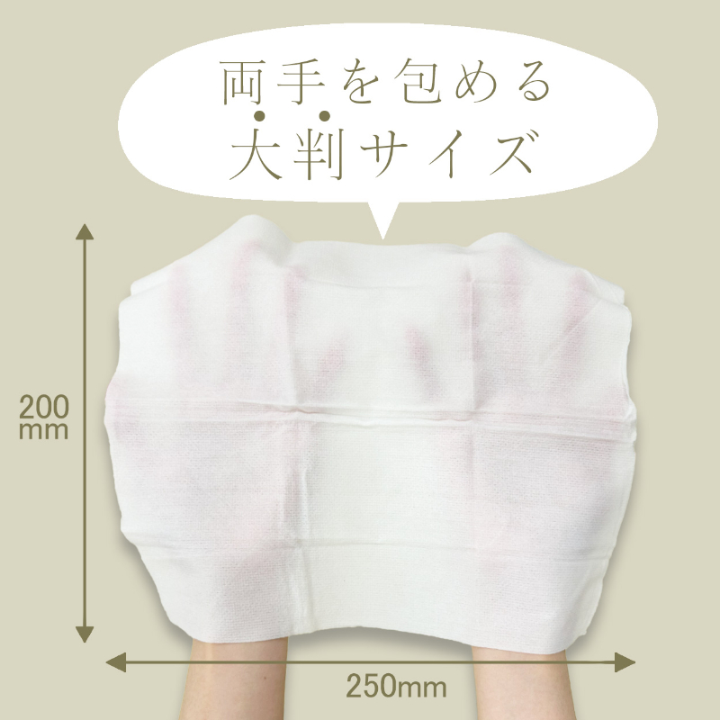 不織布おしぼり Fragrance おしぼり シトラス 100本 ニーズ