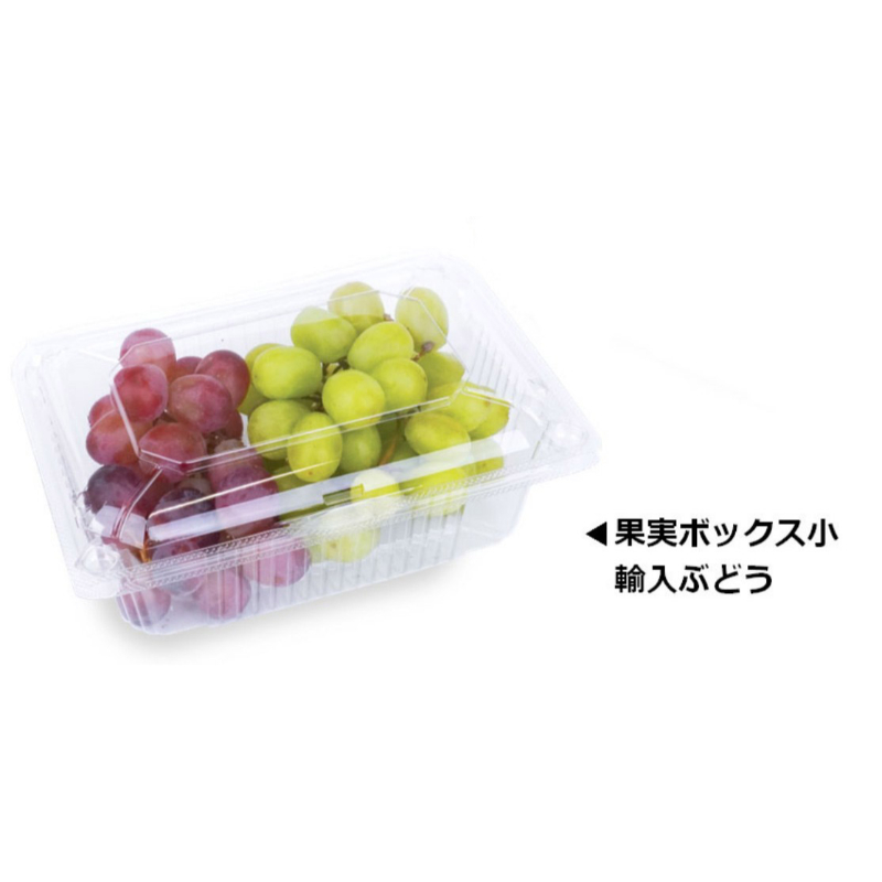 フードパック 果実ボックス小(67) エフピコチューパ